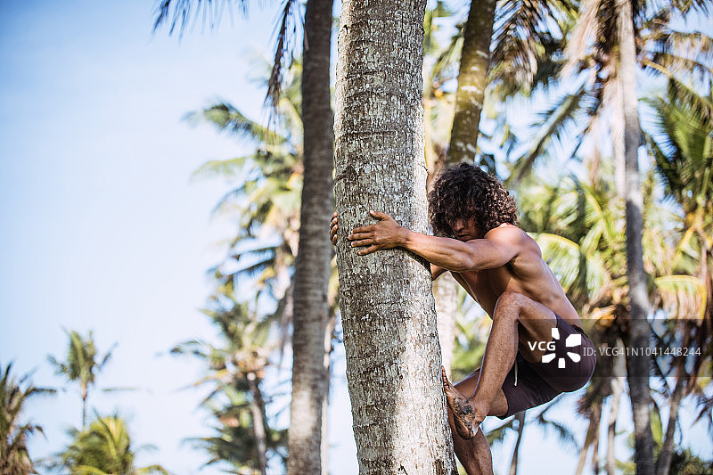 赤膊男子爬树图片素材
