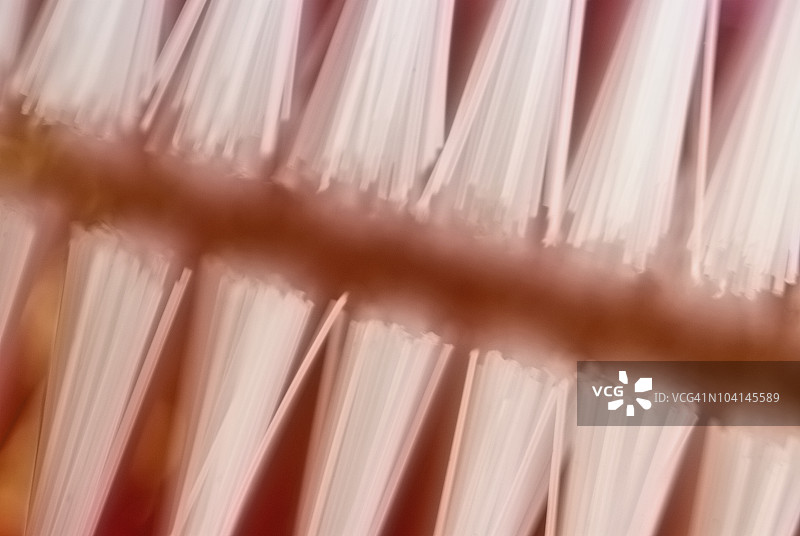 两把牙刷特写图片素材