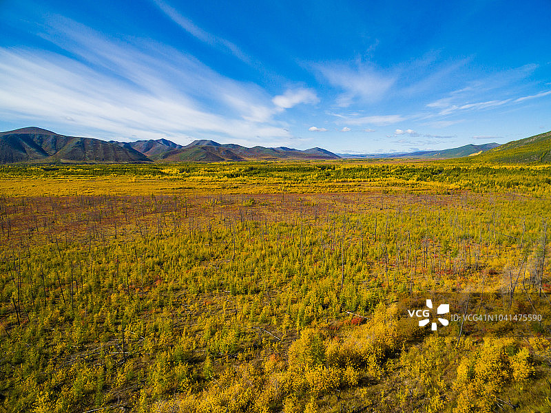 俄罗斯远东地区秋季荒地鸟瞰图片素材