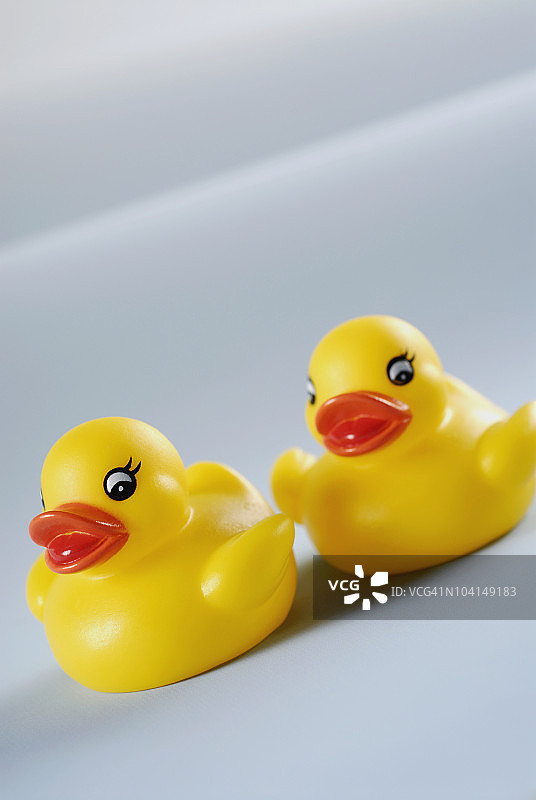 两只小黄鸭的特写图片素材