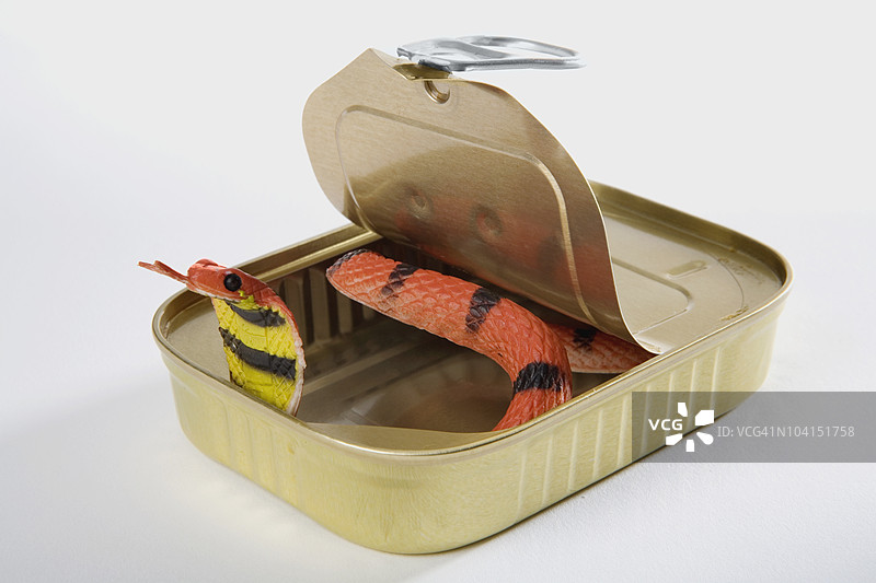 午餐盒里的玩具蛇特写图片素材