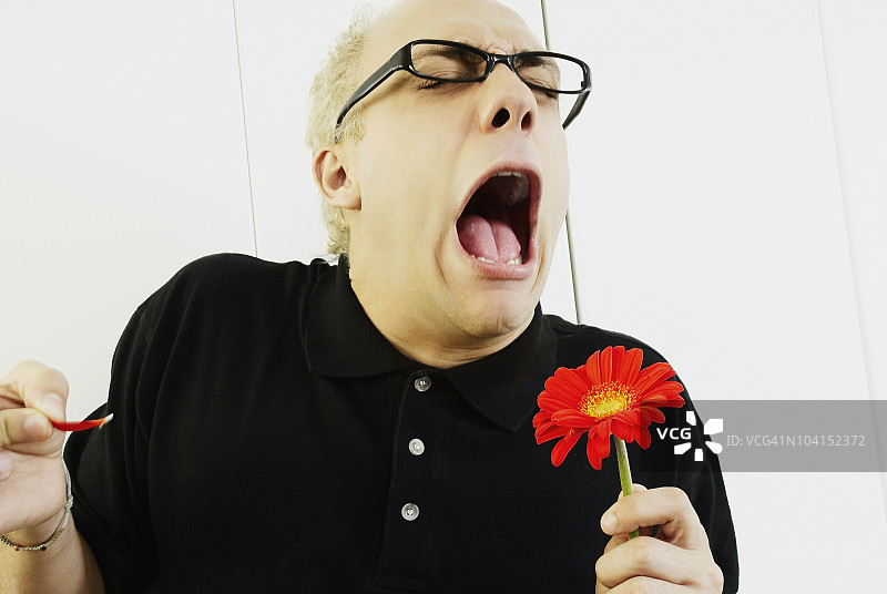 年轻男人拿着雏菊花打喷嚏特写图片素材