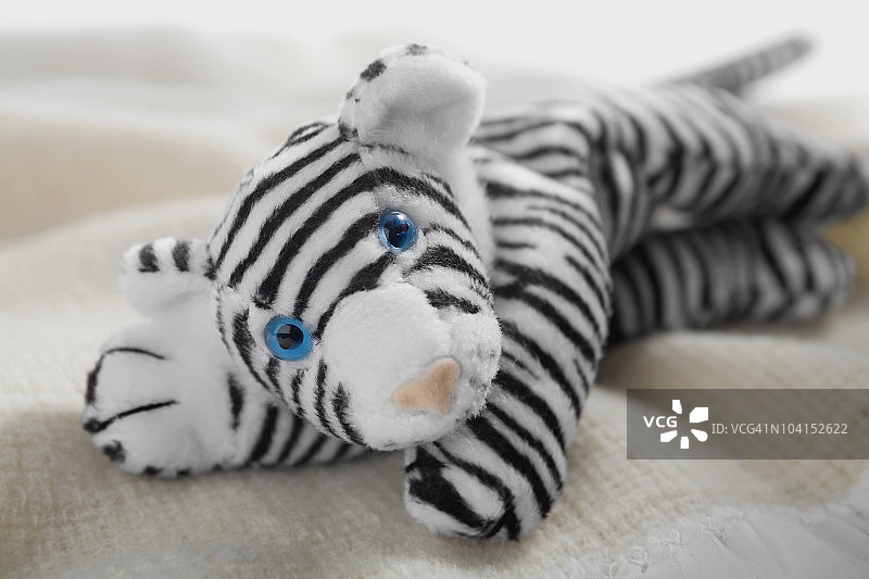 毛绒玩具特写图片素材