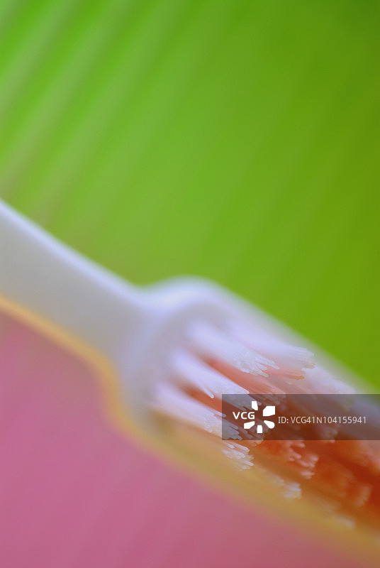 牙刷特写图片素材