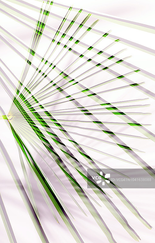 棕榈叶与阴影多重曝光图片素材