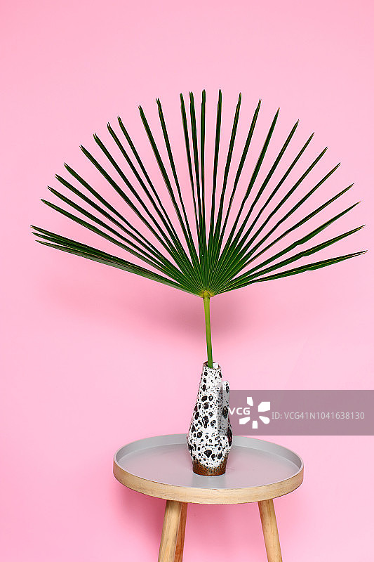 桌上复古花瓶中的棕榈叶图片素材