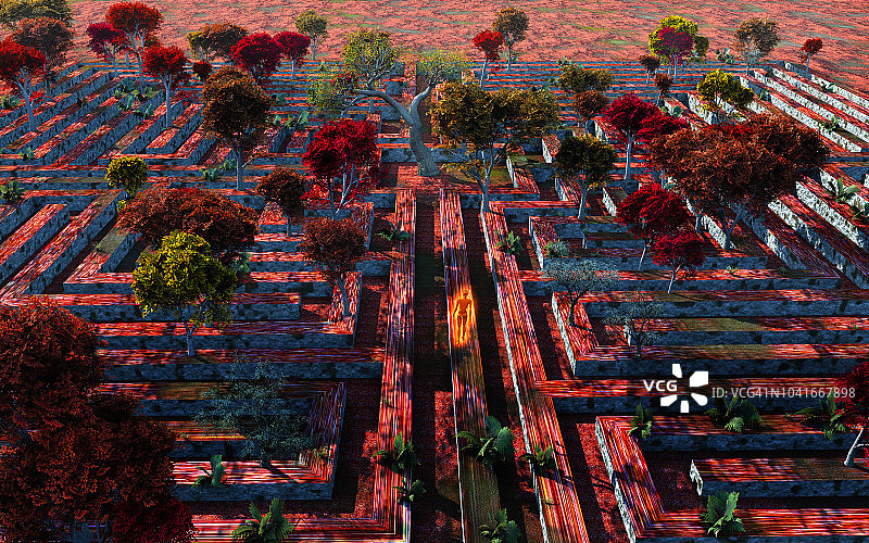 森林迷宫图片素材