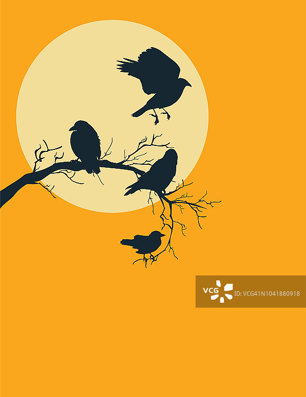 有趣的万圣节背景与南瓜灯图片素材