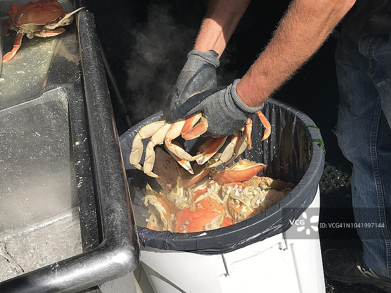 新鲜螃蟹预处理图片素材