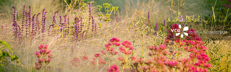 混合边界的观赏花园图片素材