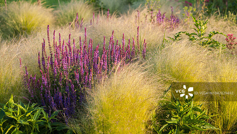 混合边界的观赏花园图片素材