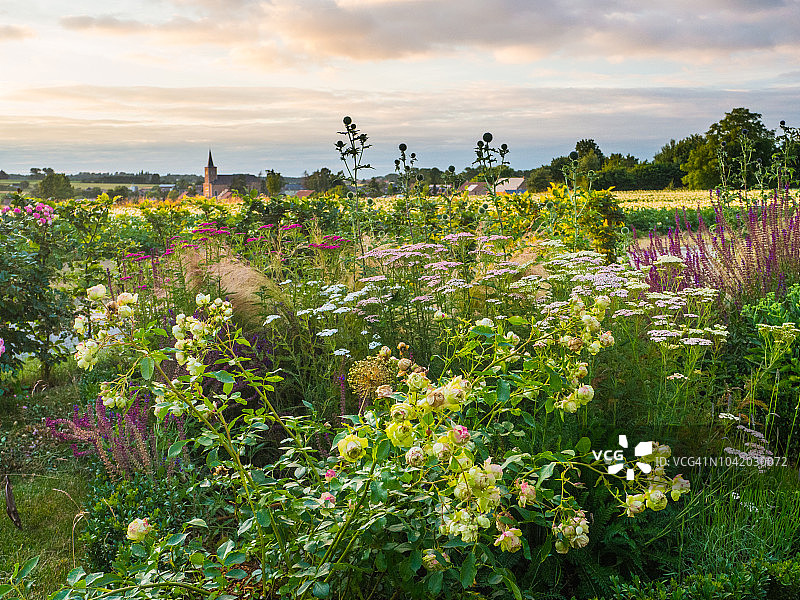 混合边界的观赏花园图片素材