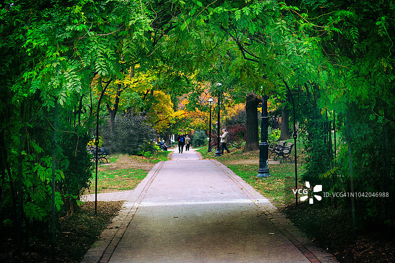 穿过秋天的绿色拱门图片素材