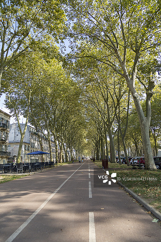 法国凡尔赛圣克劳德大街的林荫人行道图片素材