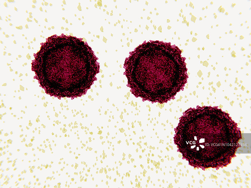 脊髓灰质炎病毒颗粒插图图片素材