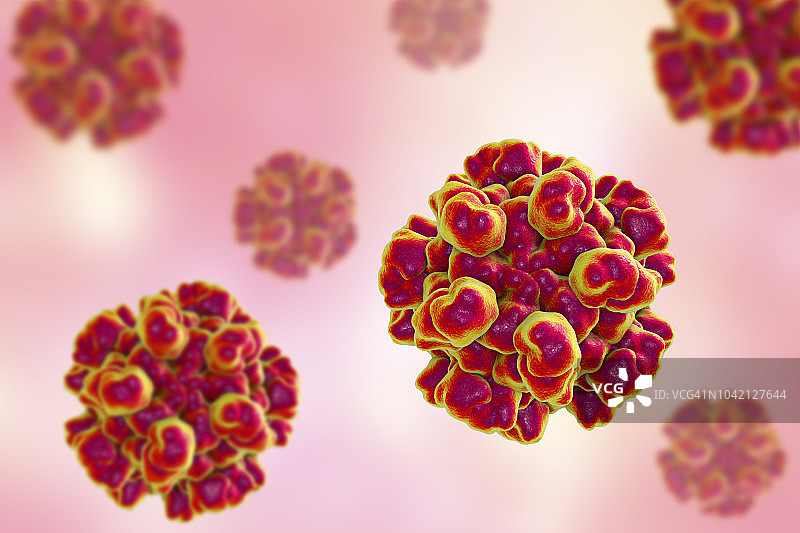 戊型肝炎病毒颗粒插画图片素材