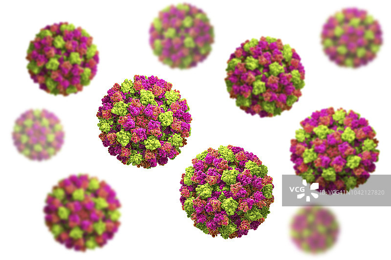 诺如病毒图示图片素材