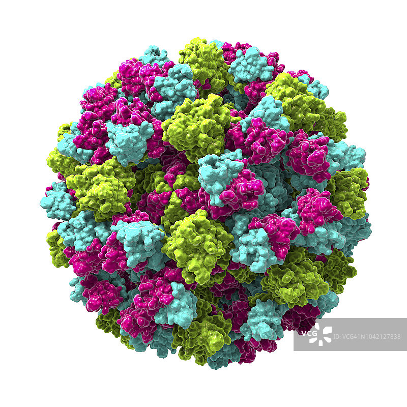 诺如病毒图示图片素材