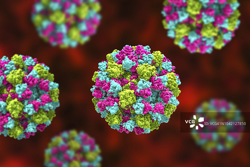 诺如病毒图示图片素材