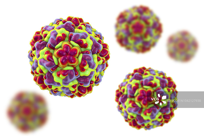 鼻病毒示意图图片素材