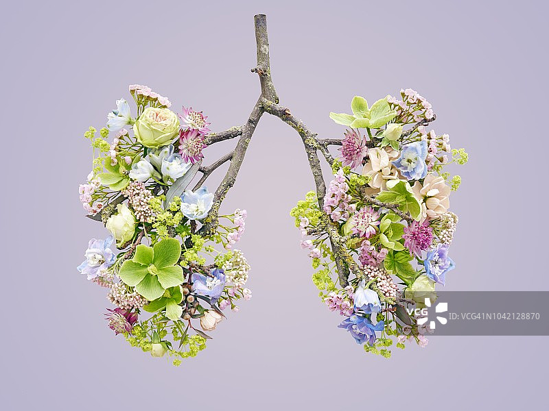 代表人类肺部的春季花卉图片素材