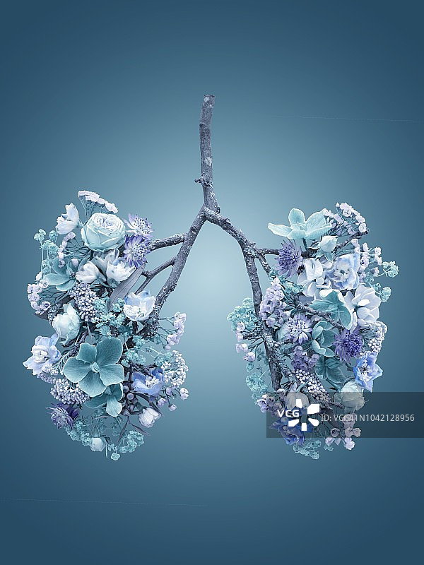 代表人类肺部的春季花卉图片素材