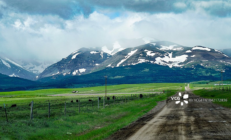 加拿大艾伯塔省的乡村土路图片素材