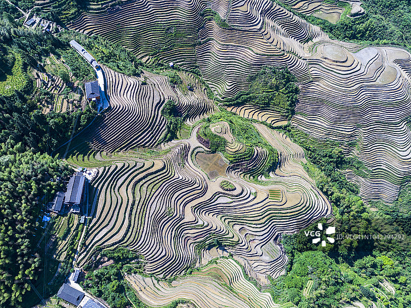 中国广西桂林龙胜雾中的梯田和中国小村庄图片素材