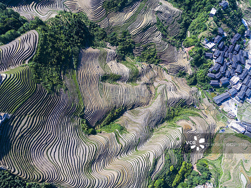 中国广西桂林龙胜雾中的梯田和中国小村庄图片素材
