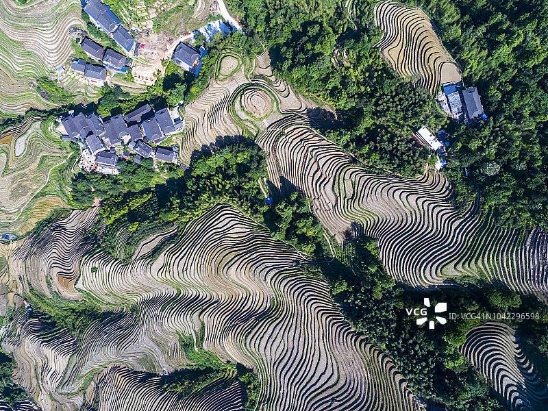 中国广西桂林龙胜雾中的梯田和中国小村庄图片素材