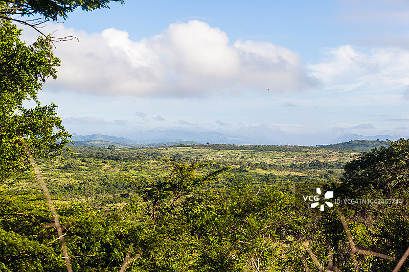 南非夸祖鲁-纳塔尔省赫卢赫卢韦-印弗洛兹公园的丘陵地形和灌木丛图片素材