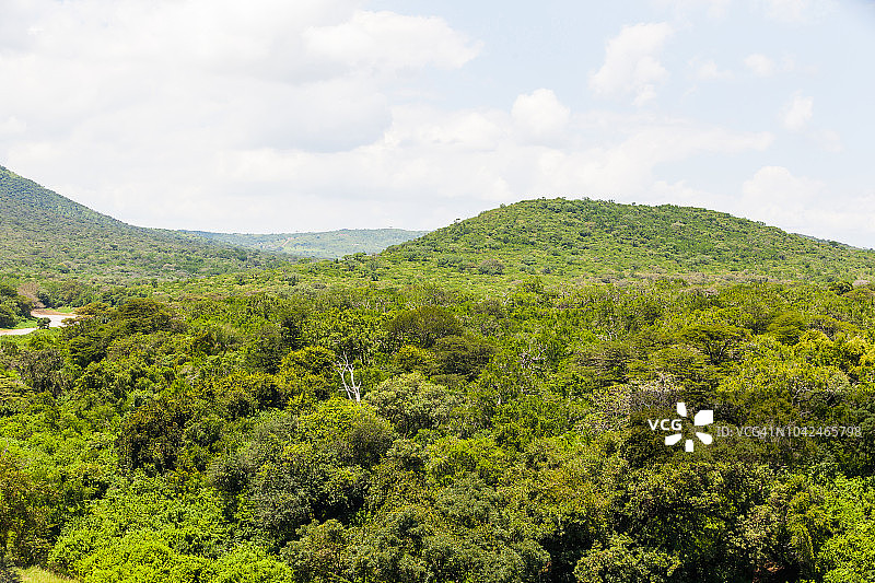 南非夸祖鲁-纳塔尔省赫卢赫卢韦-印弗洛兹公园的丘陵地形和灌木丛图片素材
