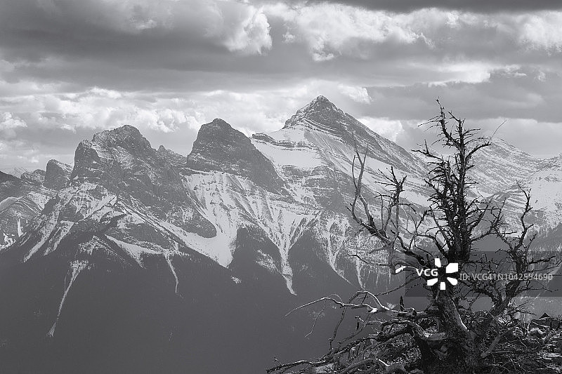 加拿大坎莫尔：死树与三姐妹山图片素材