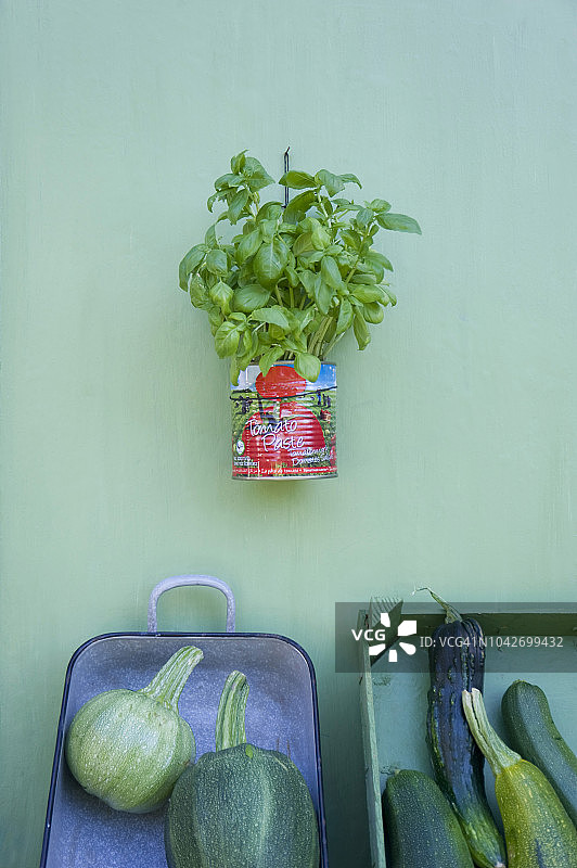 墙上悬挂的罗勒罐头和箱子里的西葫芦图片素材