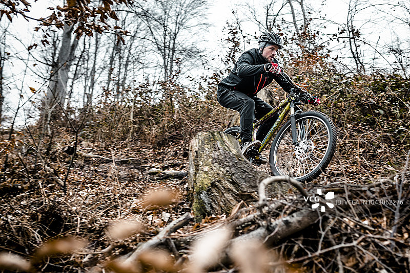 山地自行车手在森林中飞跃树根图片素材