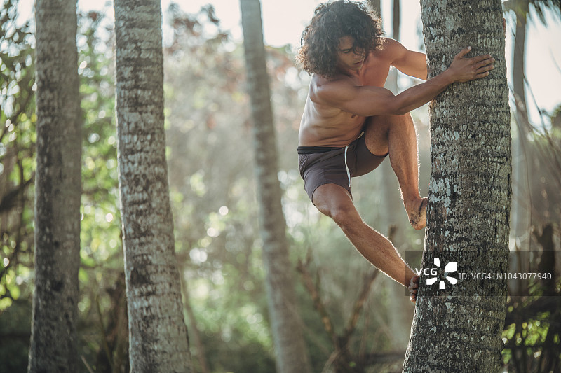 赤膊男子爬树图片素材