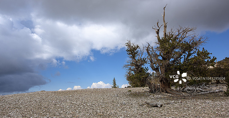 灵魂飞翔的山丘图片素材
