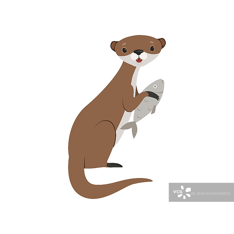 抱着鱼的可爱水獭，白色背景上的有趣动物角色矢量插图图片素材