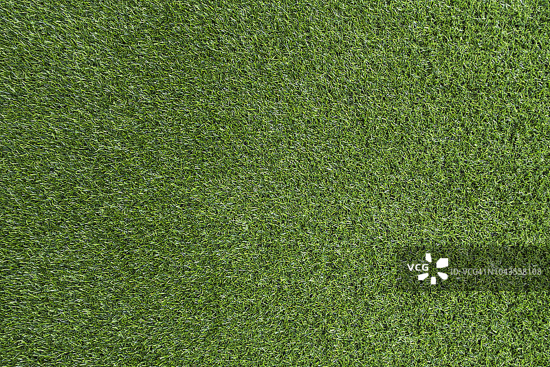 绿草的背景图片素材