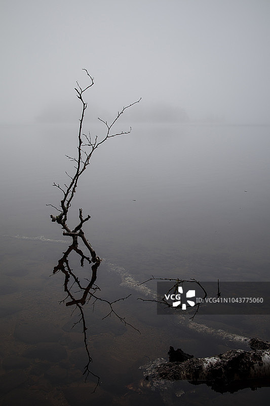 阿迪朗达克山脉萨拉纳克湖上的浮木图片素材
