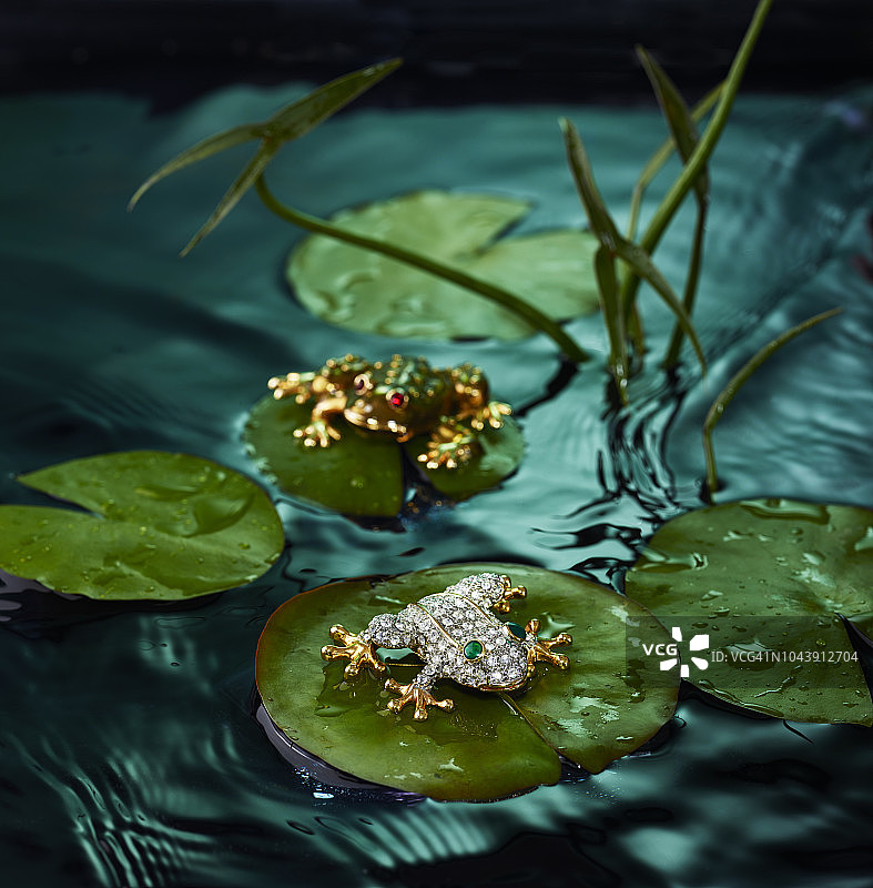 池塘睡莲叶子上钻石和金色青蛙珠宝胸针图片素材