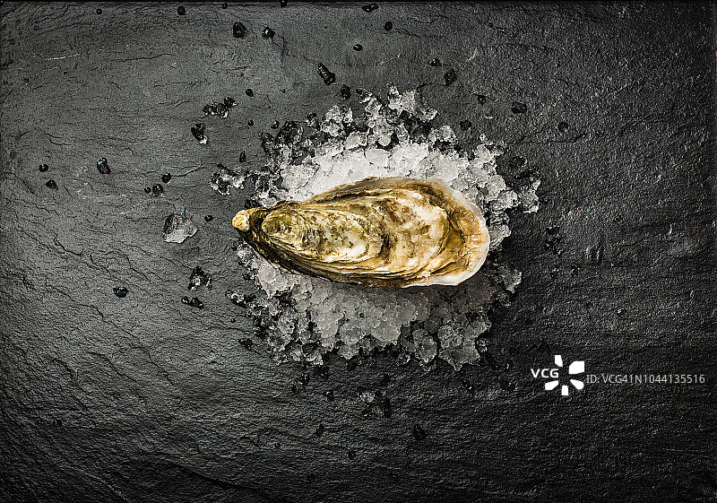 冰上的单个牡蛎图片素材