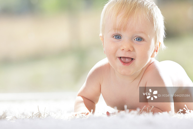 家裡地毯上的男婴（未穿衣服）图片素材