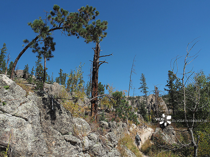 徒步旅行者在南达科他州卡斯特州立公园大教堂尖顶小径上图片素材