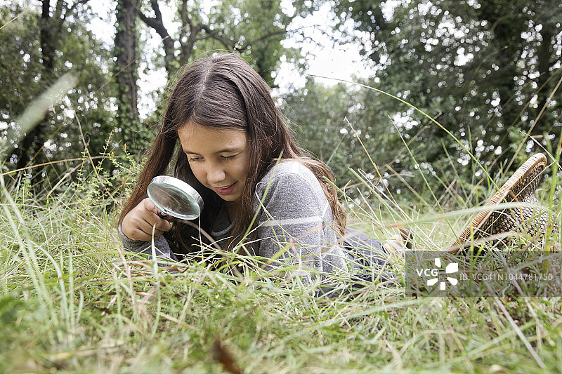 女孩发现一只有趣的昆虫图片素材