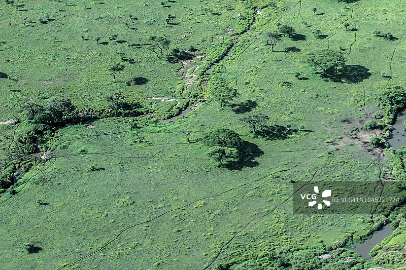 从阿鲁沙飞往塞伦盖蒂图片素材