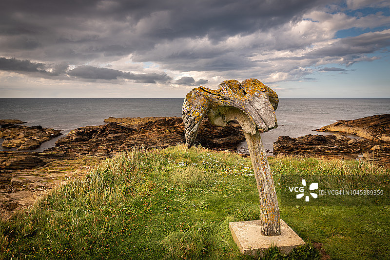 伯赛之鹰图片素材