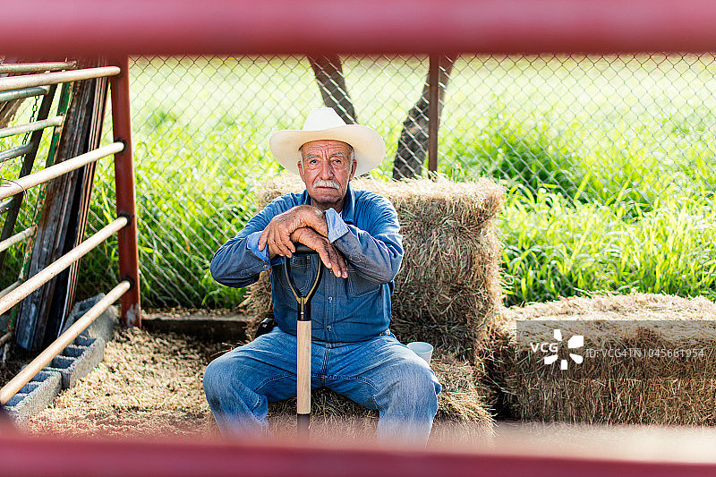 坐在干草堆上看镜头的年长墨西哥男人图片素材