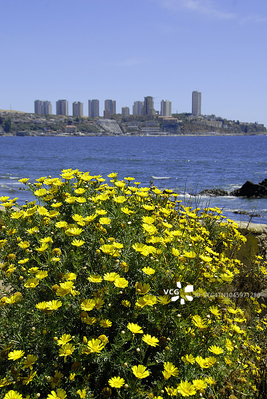 智利康康海滩图片素材