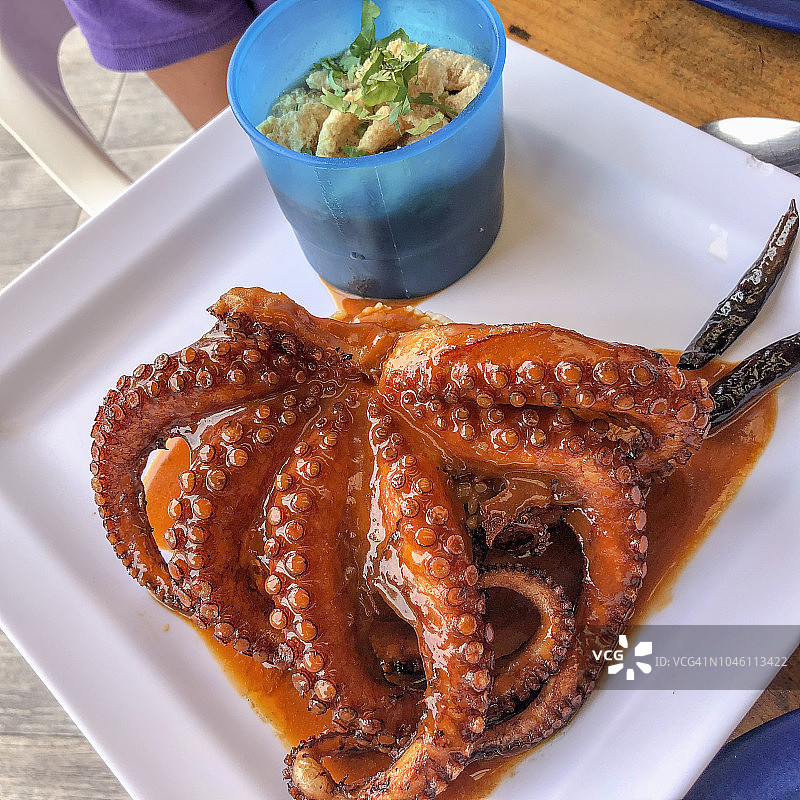 酱汁章鱼图片素材